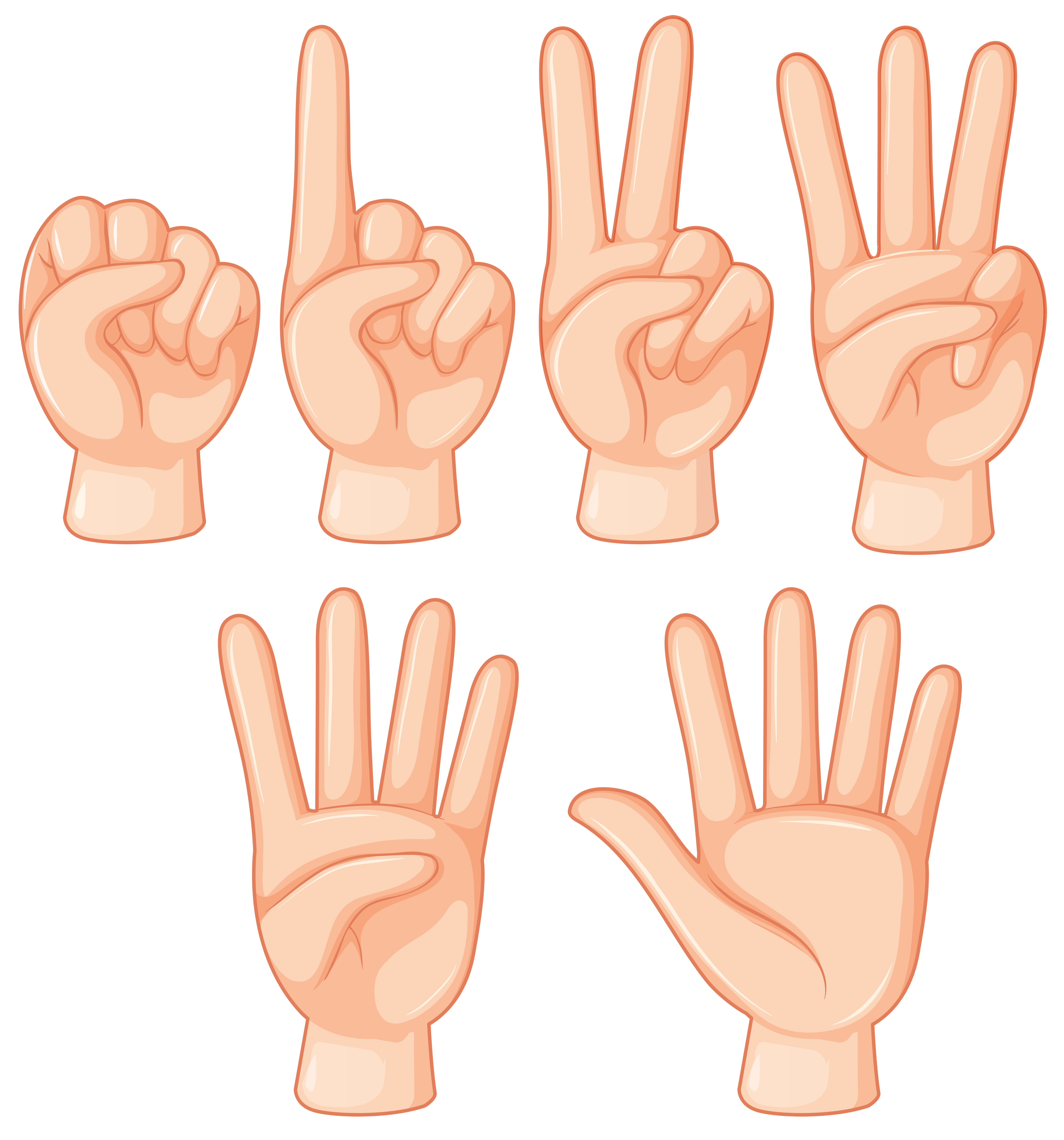 ASL Fingerspelling Basics