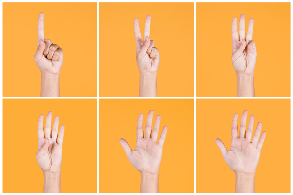 Essential ASL Phrases